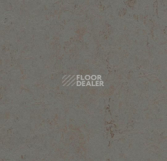 Линолеум Forbo Marmoleum Decibel on Order 370335 comet фото 1 | FLOORDEALER